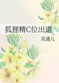 狐狸精干货