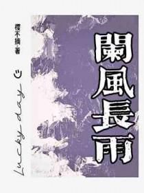 阑风夜雨