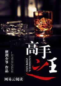 高手高手高高手是啥