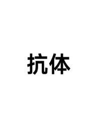 抗体sm