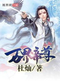 万界帝尊顽石