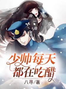 民国奇探之少帅每天都在吃醋