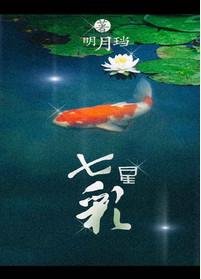 七星彩几点停售