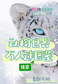 动物世界萌宠