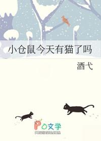 小仓鼠今天有猫了吗视频