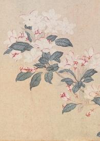 撷春色(强取豪夺)番外