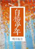 白杨少年明开夜合讲的什么