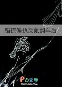 错撩偏执反派翻车后笔趣阁