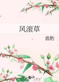 风滚草大扫除 王国之泪