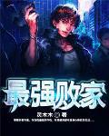 最强败家子纳兰凌风