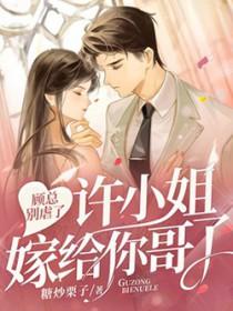 许小姐嫁给你哥了笔趣阁