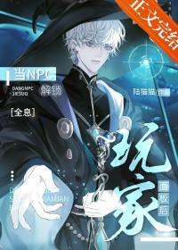 npc怎么开启