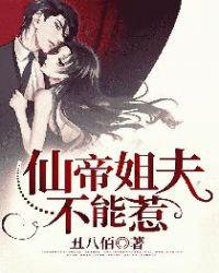 仙帝姐夫谁敢惹
