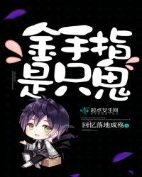 金手指类型