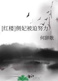 侧妃自称