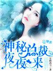 神秘总裁夜来袭全文阅读