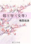 锦王爷txt