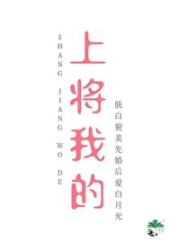 我的上将o妻