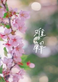 难解的意思是什么