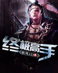 终极高手之