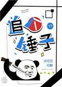 追个锤子什么意思
