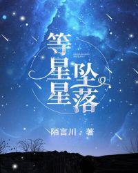 等星星坠落写的什么