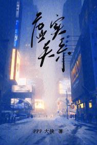 虚实关系ppp大侠