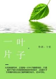 一片叶子底款简介