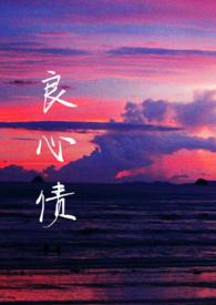 良心债1至8集免费播放