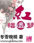 红楼遗梦txt