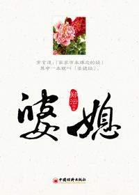 婆媳关系剧情线