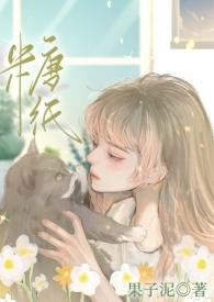 糖纸新品