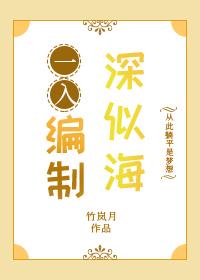 一入编制深似海作者竹岚月