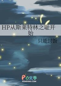 hp之斯莱特林王子