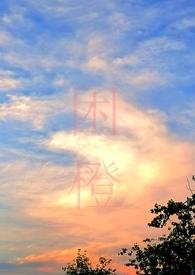 困城蔺观川by好耶好耶