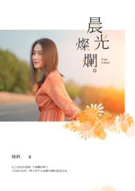 晨光灿烂你容颜是什么歌
