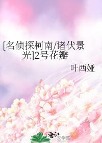 名侦探柯南二号人物是谁
