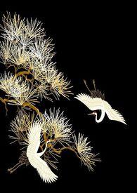 烬余录原文全文