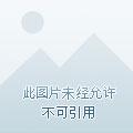 全民领主我的天赋