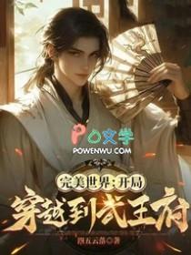 穿越完美世界之开局五个愿望