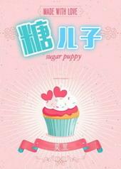 书名糖二代