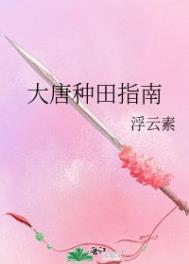 大唐种田指南晋江