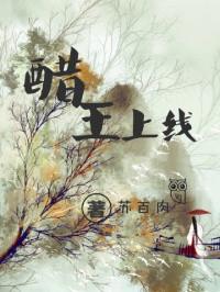 醋王上线十五