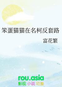 笨蛋1+1