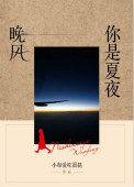 你是夏夜晚风歌词