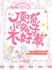 顶流的小兔子不好惹无弹窗