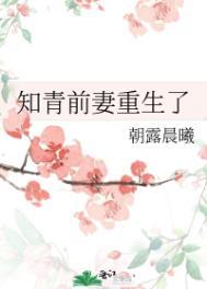 知青重生离婚前一天