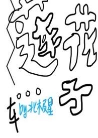 莲花莲子的图片