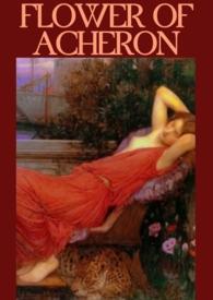 恶毒女配不洗白(快穿)