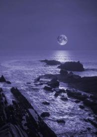 暗夜精灵1—6集在线观看